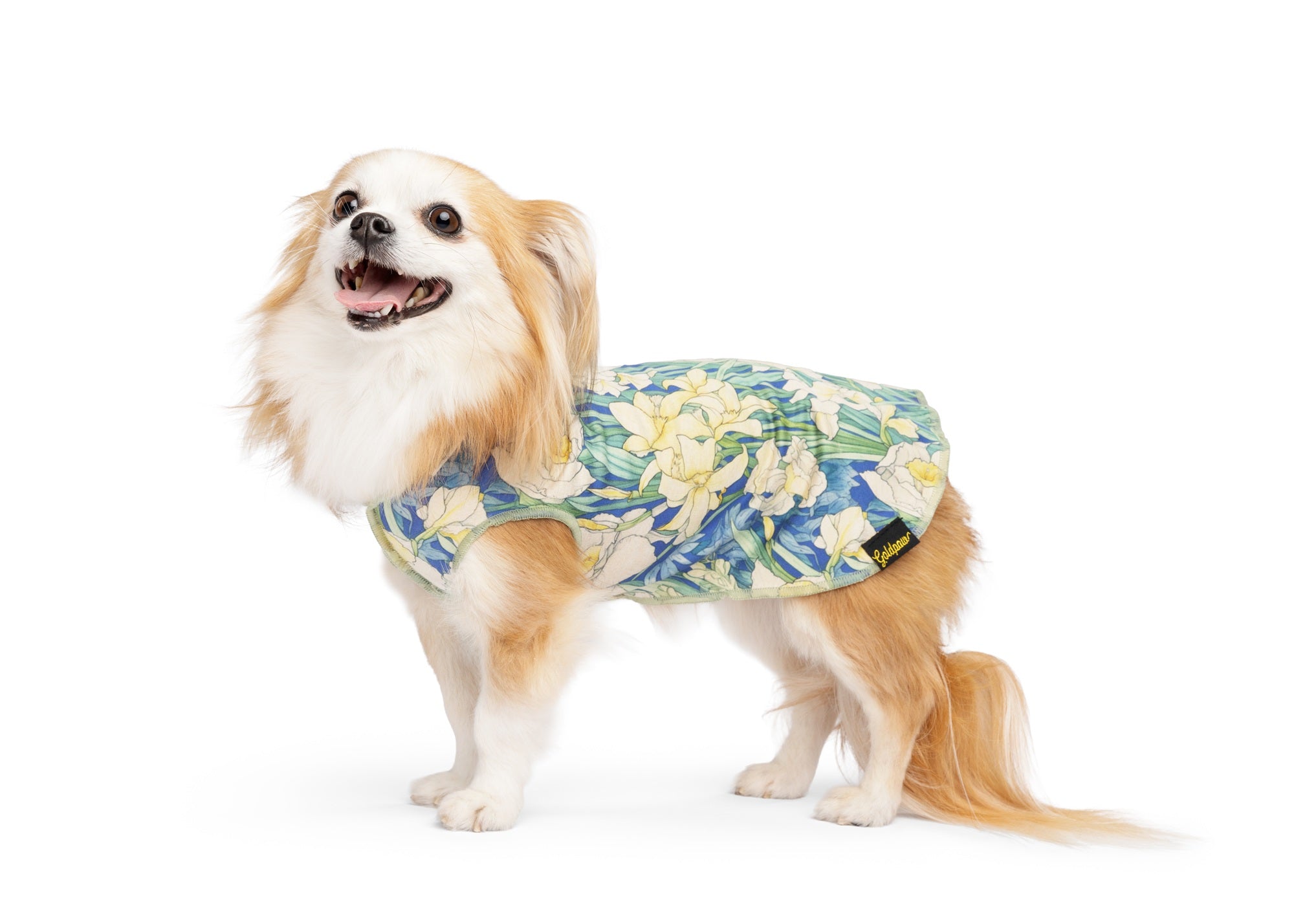 Sun Shield Tee shirts for Dogs and Cats, Daffodils