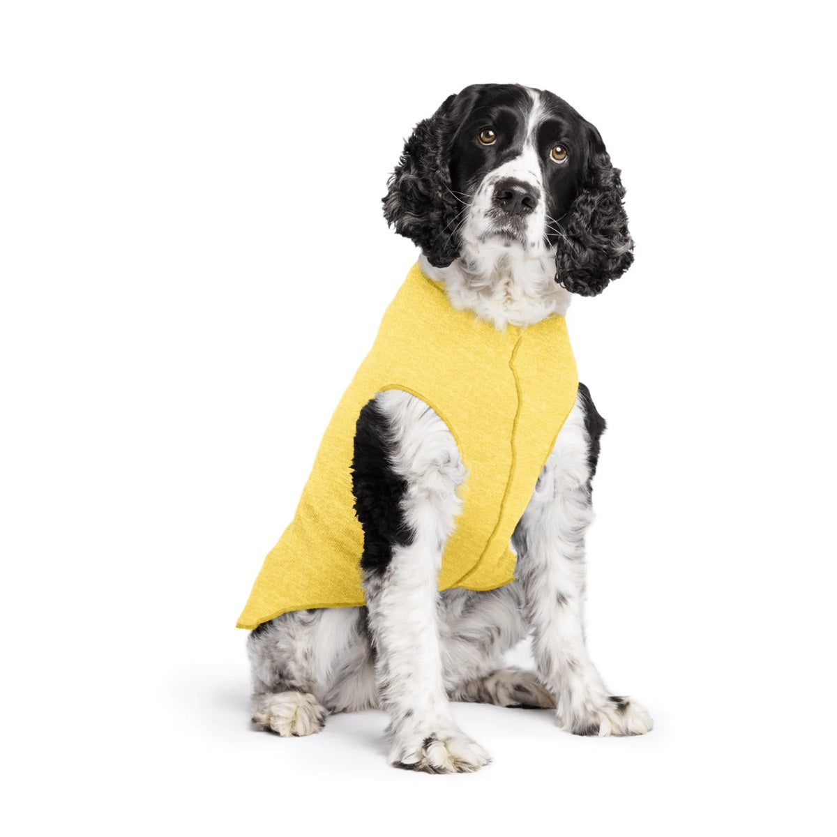 Sun Shield Tee shirts for Dogs and Cats, in Butter
