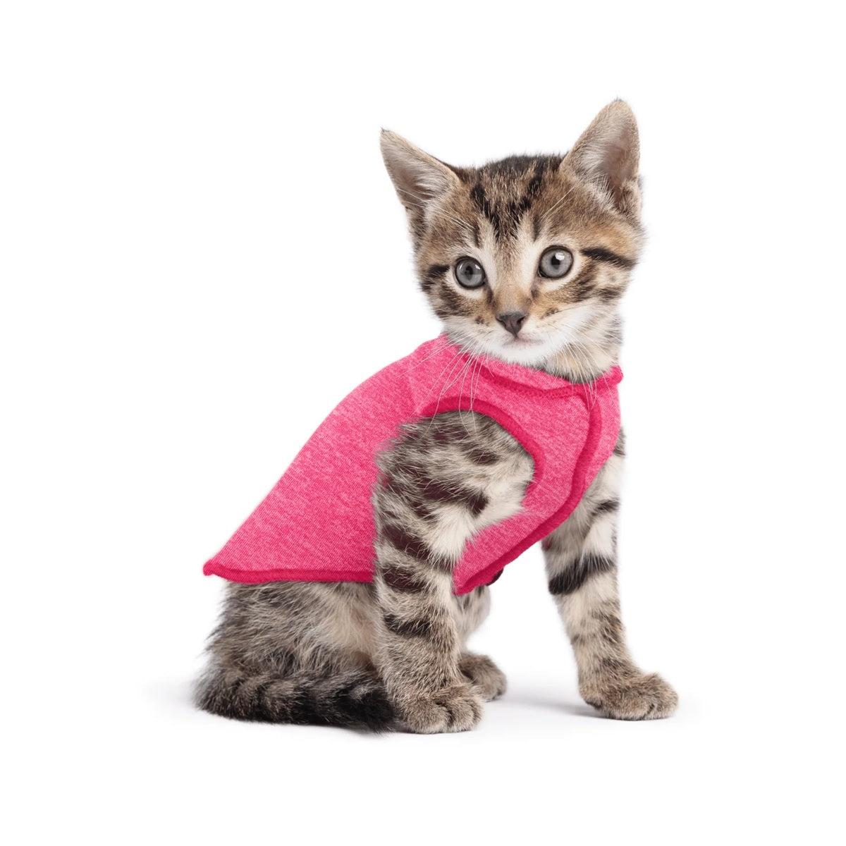 Sun Shield Tee shirts for Dogs and Cats, in Flamingo