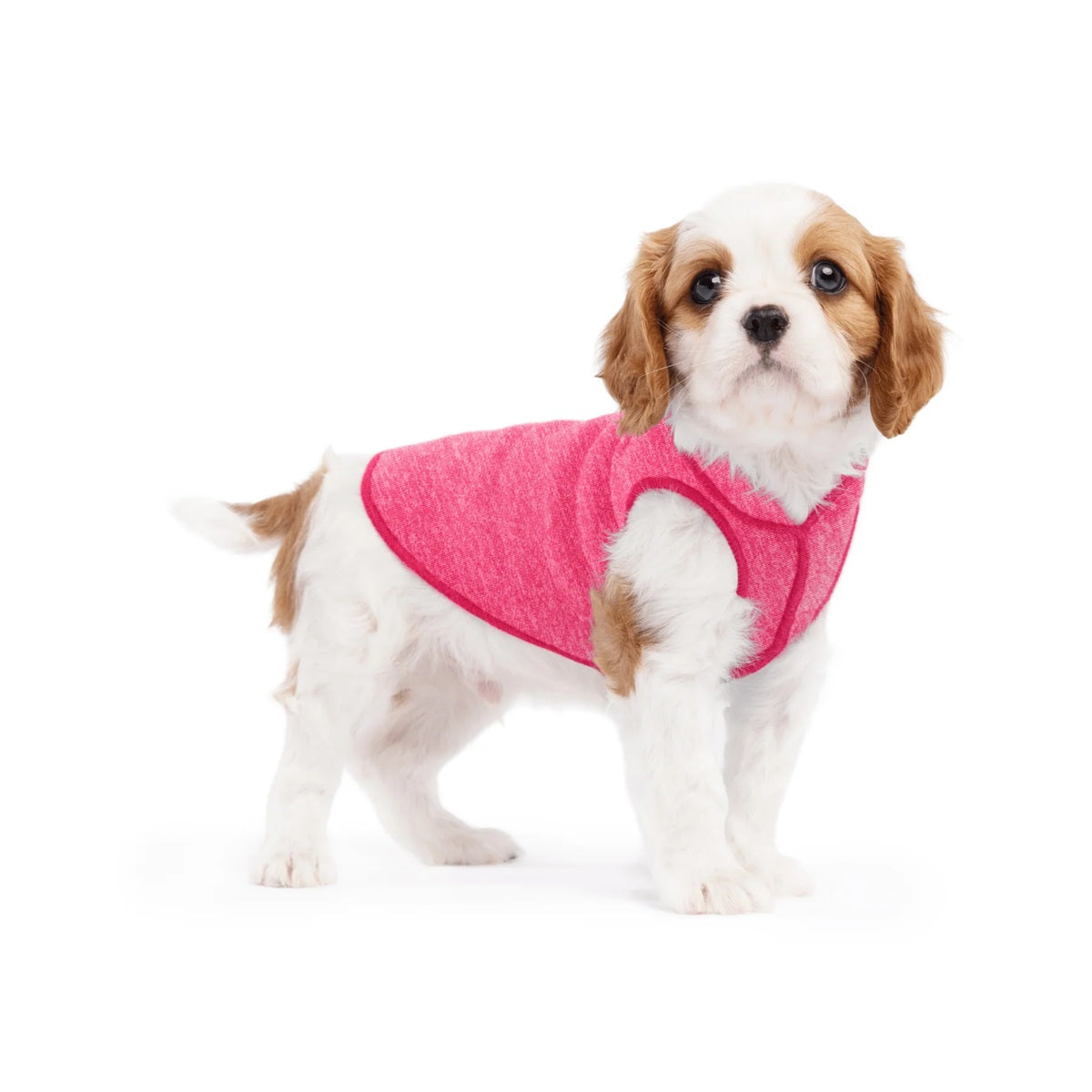 Sun Shield Tee shirts for Dogs and Cats, in Flamingo