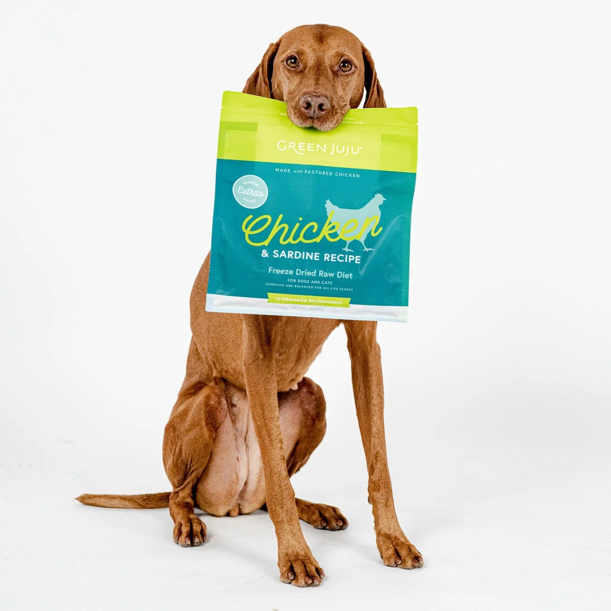 Low-carb Green Juju freeze-dried raw chicken and sardine pet food nuggets rich in antioxidants.