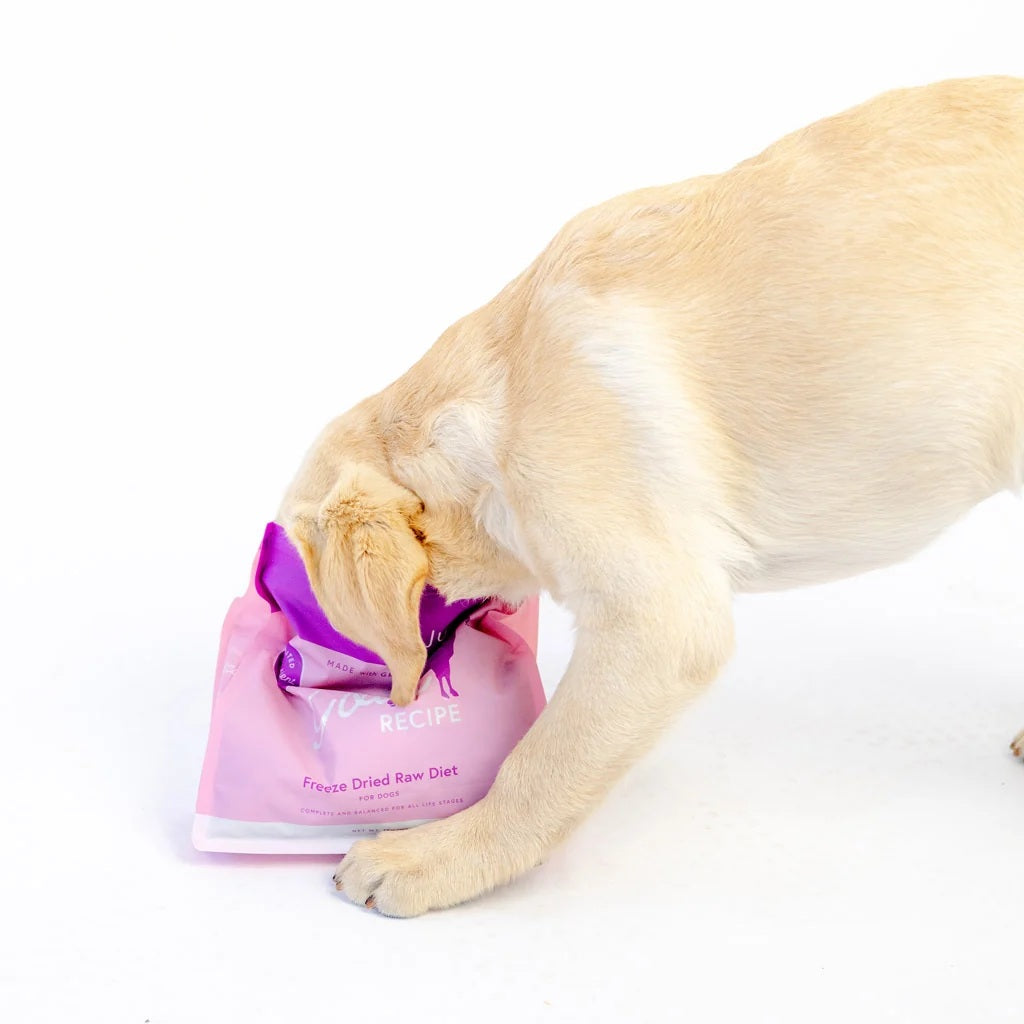 Green Juju premium freeze dried raw goat food bag for dogs and cats with food sensitivities.