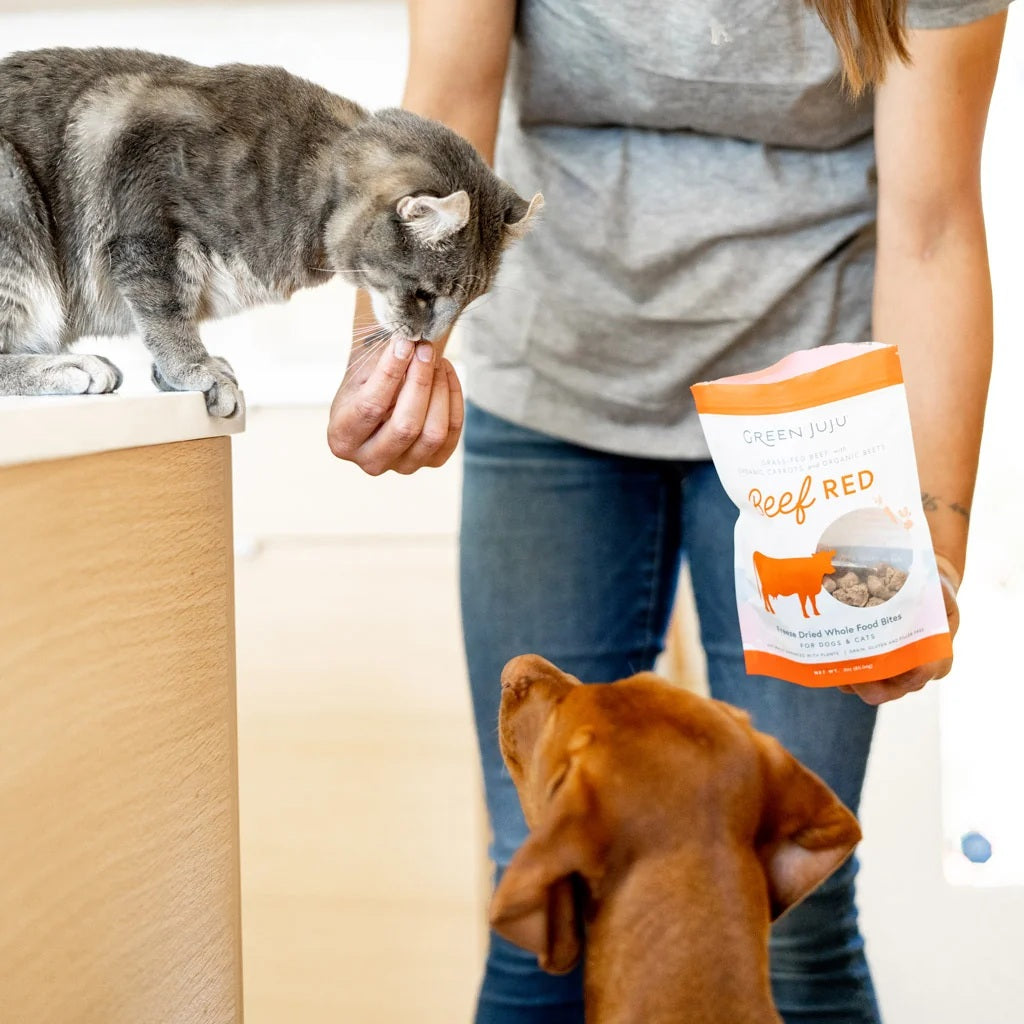 Green Juju Freeze Dried Beef red bites fiber rich beets and beef organ topper for dog and cat digestive health