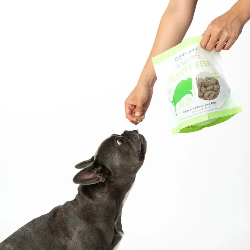 Green Juju Freeze Dried Bison Green Bites antioxidant rich dandelion greens and bison meat treats for pet gut health
