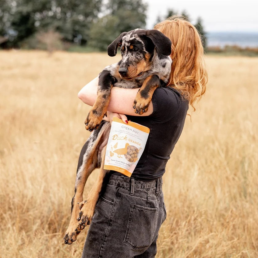 Green Juju Freeze Dried Duck Orange Bites anti inflammatory turmeric and squash duck topper for dog and cat joint mobility