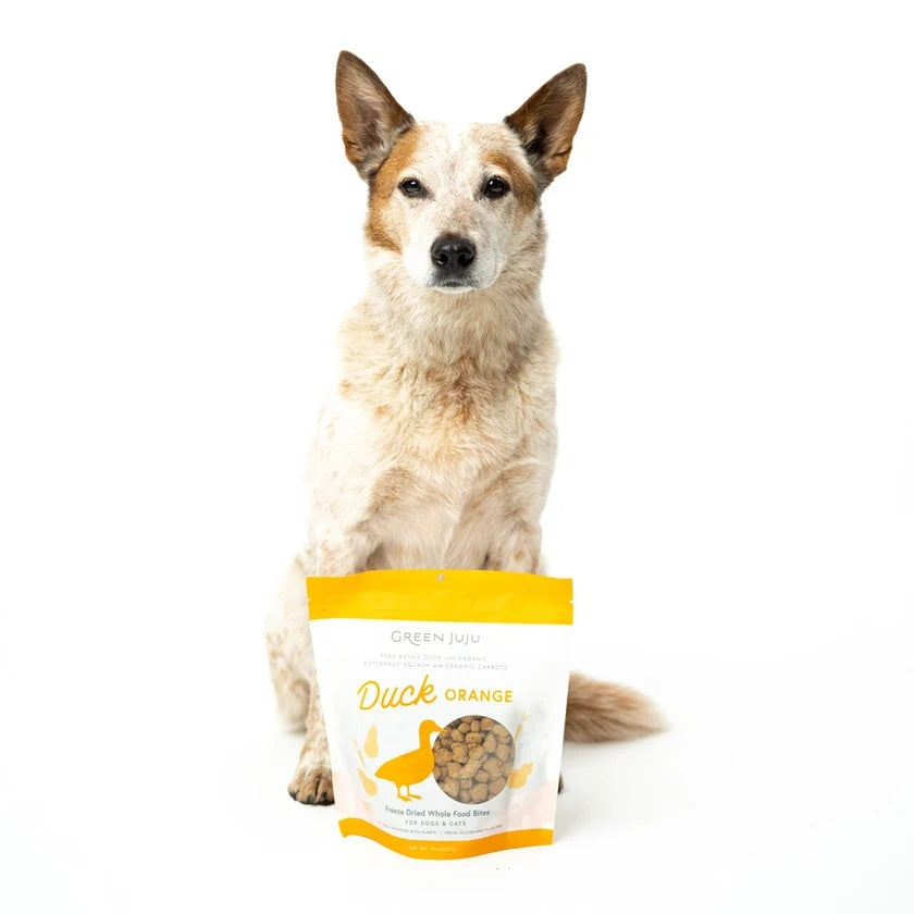 Green Juju Freeze Dried Duck Orange Bites anti inflammatory turmeric and squash duck topper for dog and cat joint mobility
