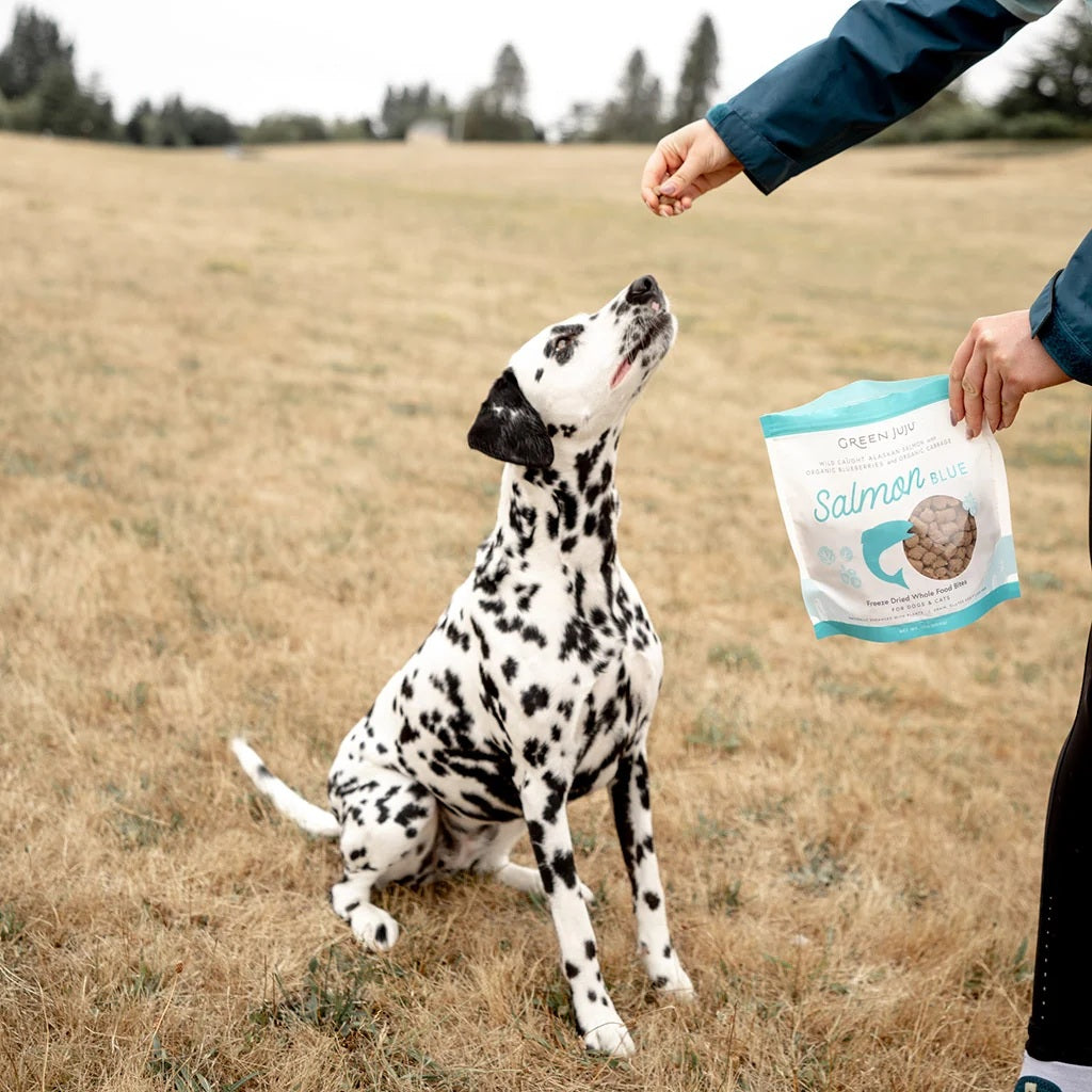 Green Juju Freeze Dried Wild Salmon bites antioxidant rich blueberry and fish organ treats for pet brain and immune support