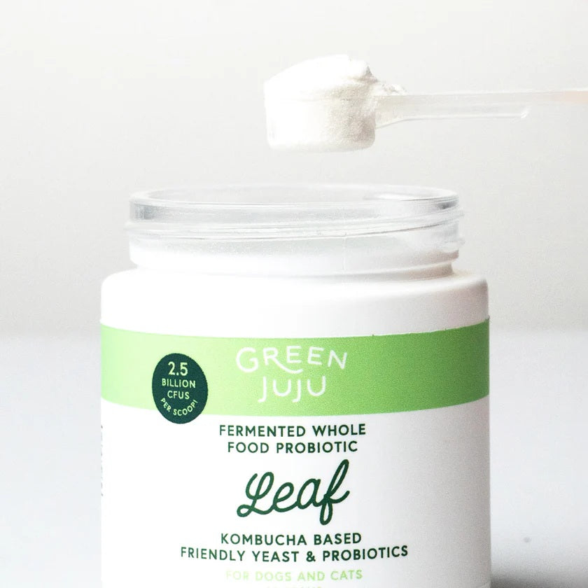 Green Juju Post kombucha based post antibiotic digestive recovery supplement for dogs and cats with sensitive systems