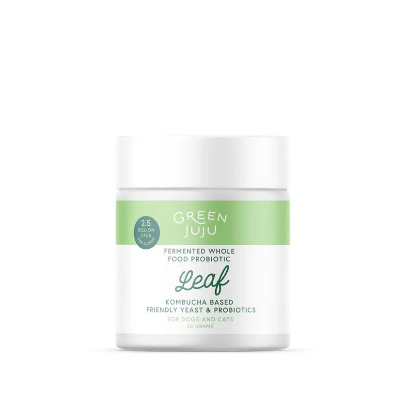 Green Juju Post kombucha based post antibiotic digestive recovery supplement for dogs and cats with sensitive systems