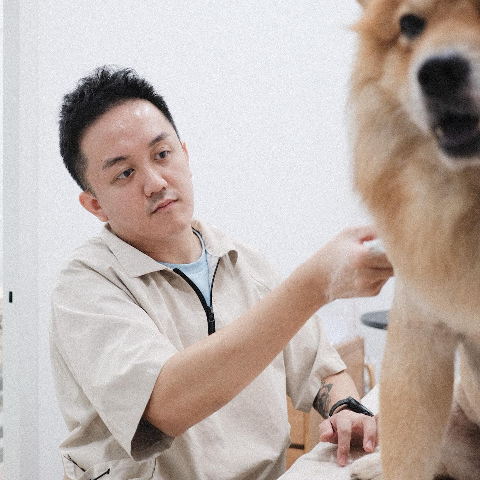 Event Workshop: Creating Low-Stress Grooming experiences for your dog/cat [CLOSED]