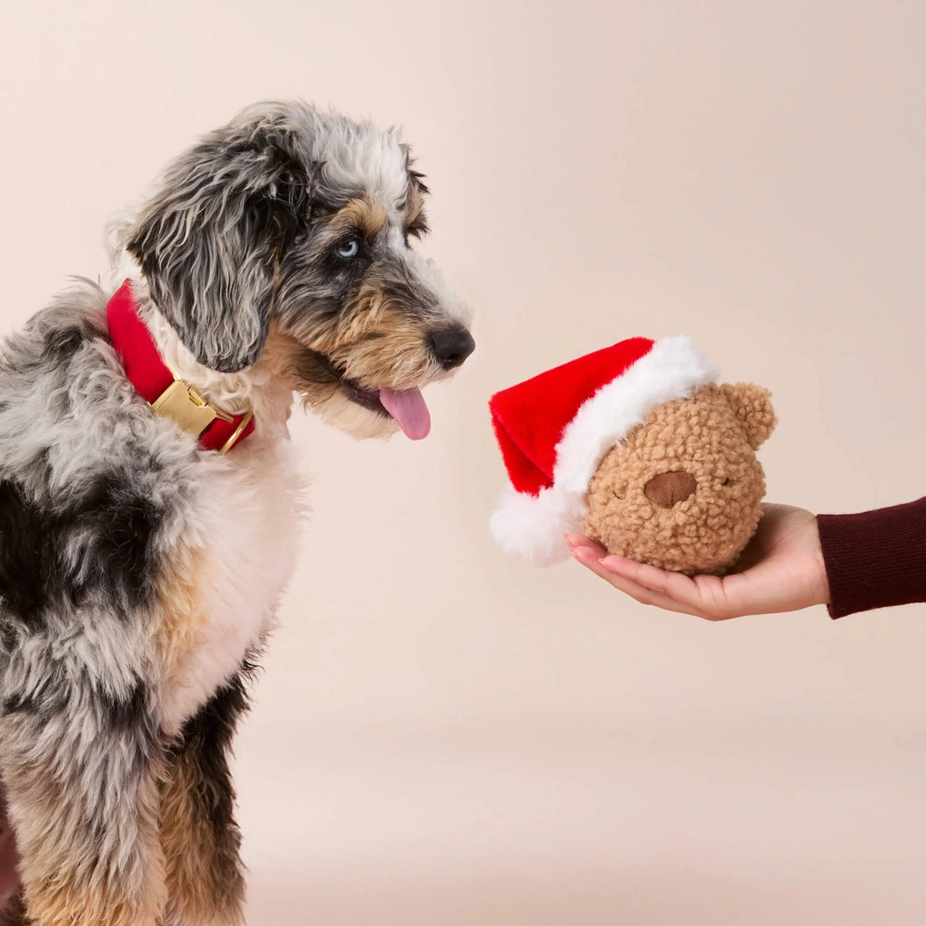 Holiday Squeaky Interactive Plush Dog toys, Santa Teddy Bear 2-in-1 Bounce Toy