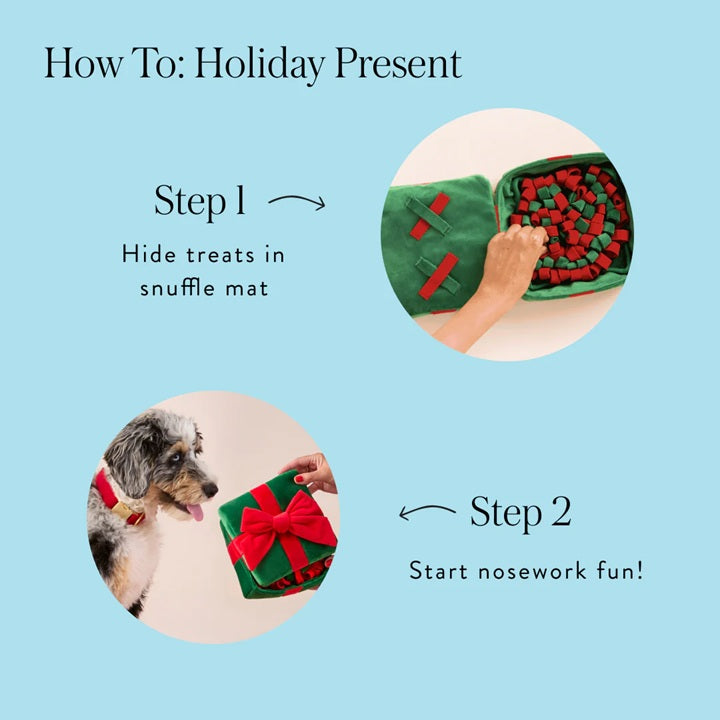 Holiday Squeaky Plush Interactive Snuffle Dog toys, Holiday Present