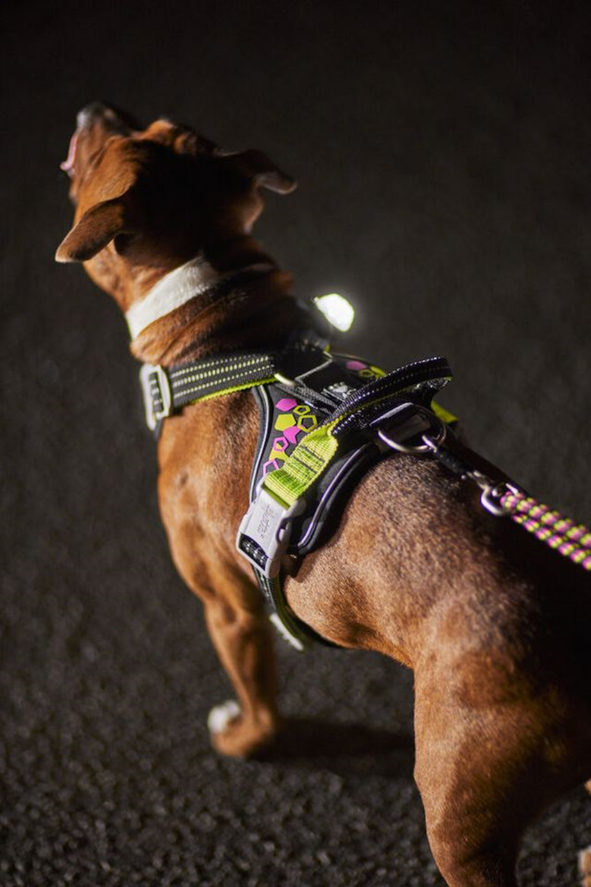 Hurtta Dog Harness: Weekend Warrior Neon Harness