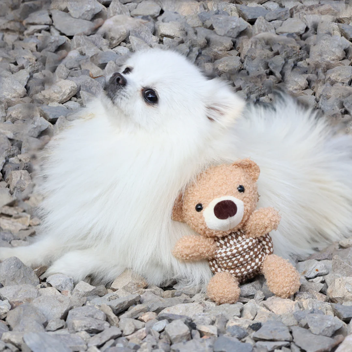 Knotty Squeaky Interactive Rope Dog Toy, Coco the Bear