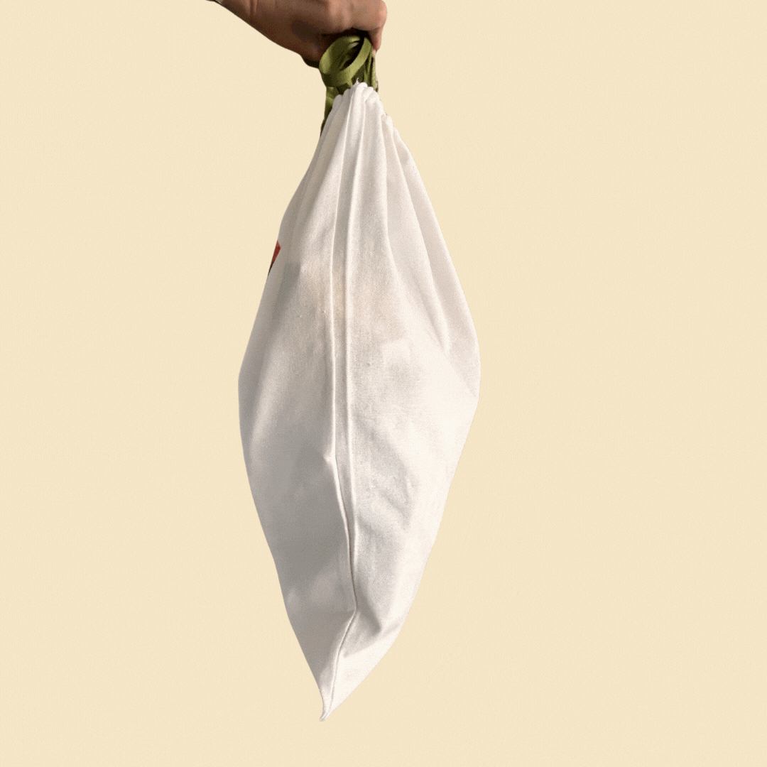 Mystery Santa Sack of Dog Toys