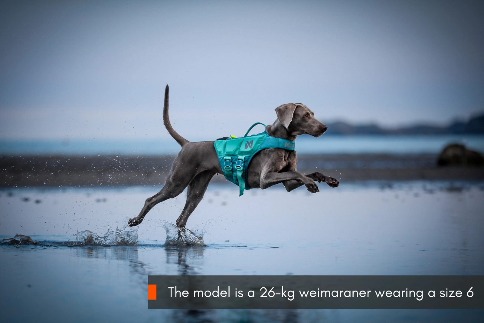 Non-Stop Dog Wear: Protector Life Jacket - Teal