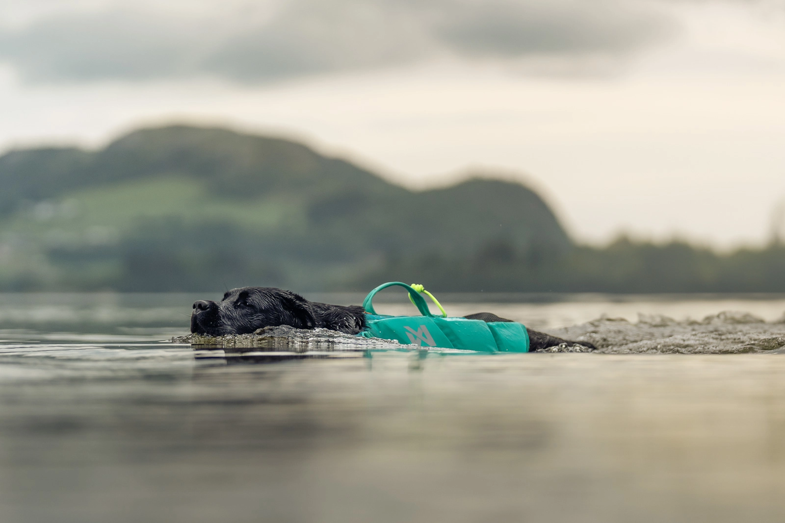 Non-Stop Dog Wear: Protector Life Jacket - Teal