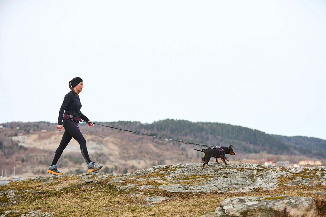 Non-Stop Dog Wear: Trekking Belt 2.0