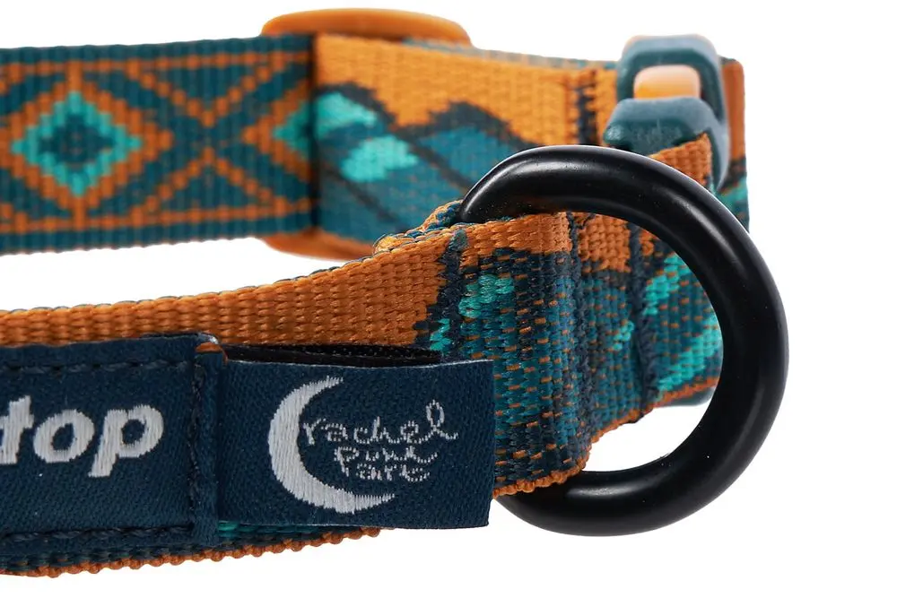 Non-Stop Dog Wear: Rachel Pohl Signature Series Trail Quest Dog Collar Teal/Oak