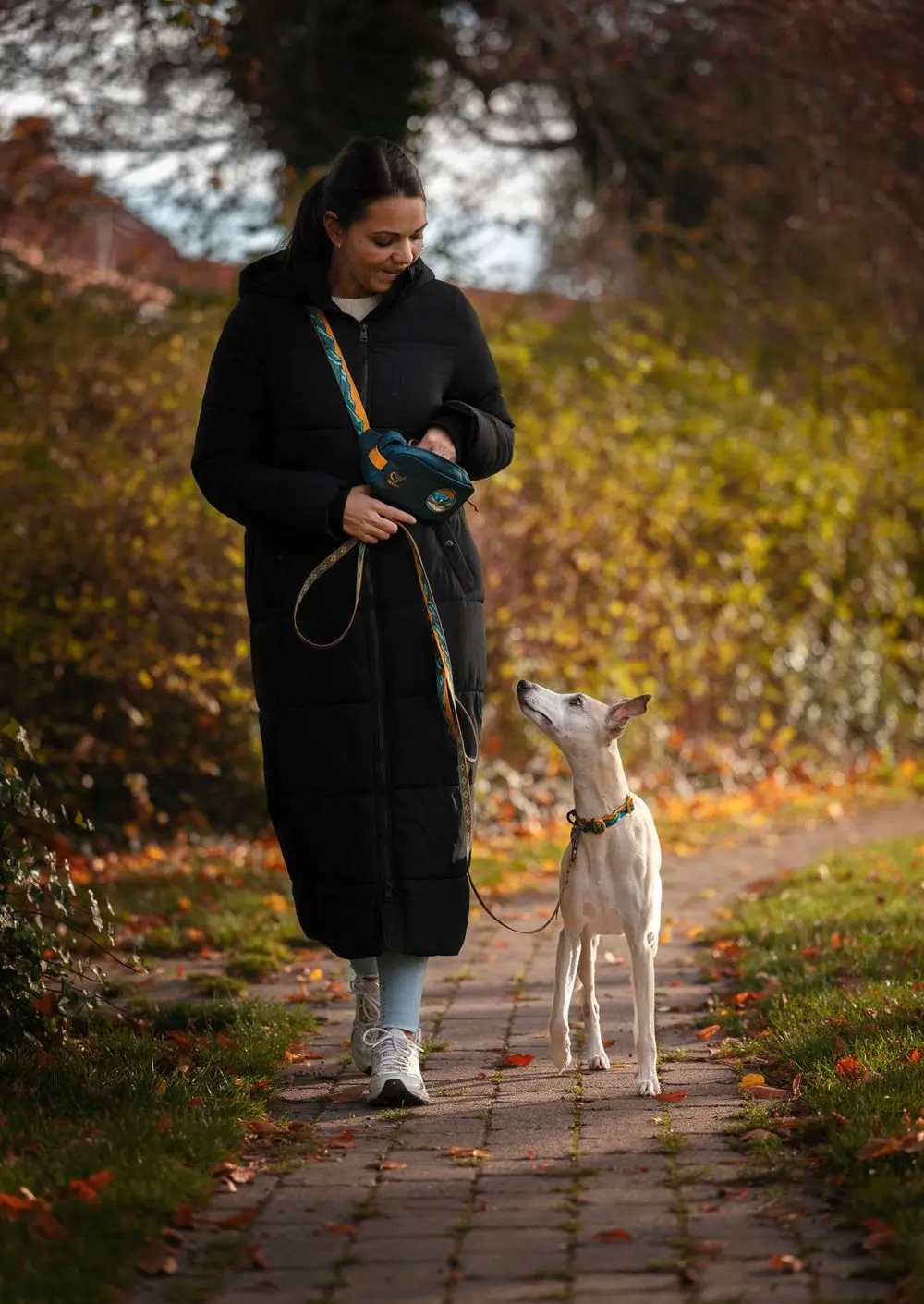 Non-Stop Dog Wear : Rachel Pohl Signature Series Trail Quest Fanny Pack Teal/Oak