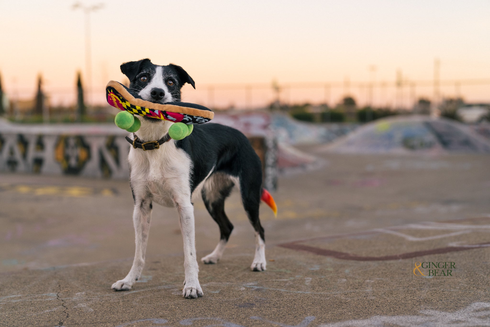 P.L.A.Y. 90s Classic Squeaky Plush Dog toys, Kickflippin' K9 SkateBoard