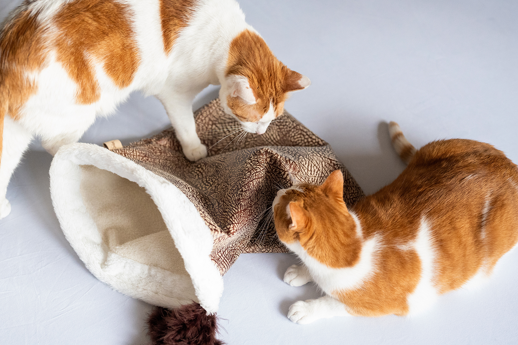 P.L.A.Y. Cat Toy: Crinkle Sack