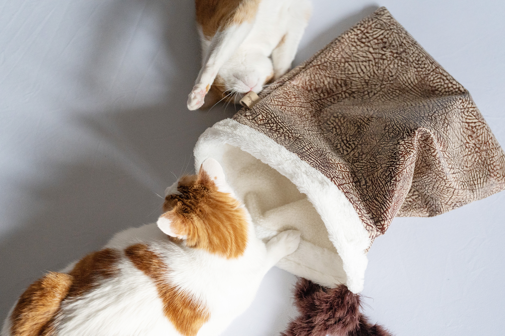 P.L.A.Y. Cat Toy: Crinkle Sack