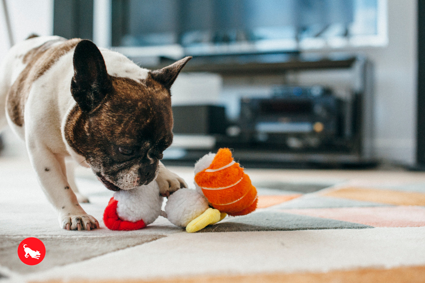 P.L.A.Y. The International Classic Squeaky Plush Dog Toy, Sushi
