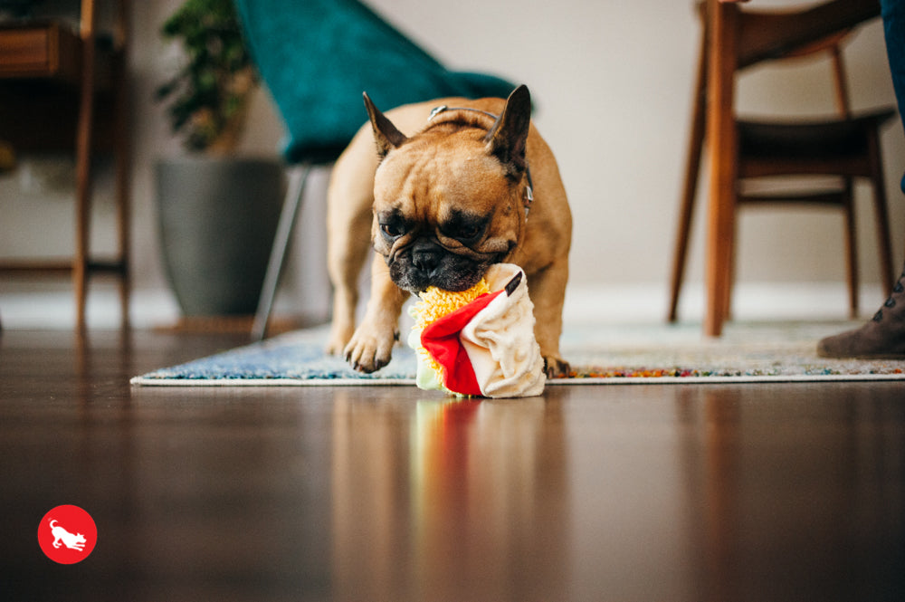 P.L.A.Y. The International Classic Squeaky Plush Dog Toy, Taco