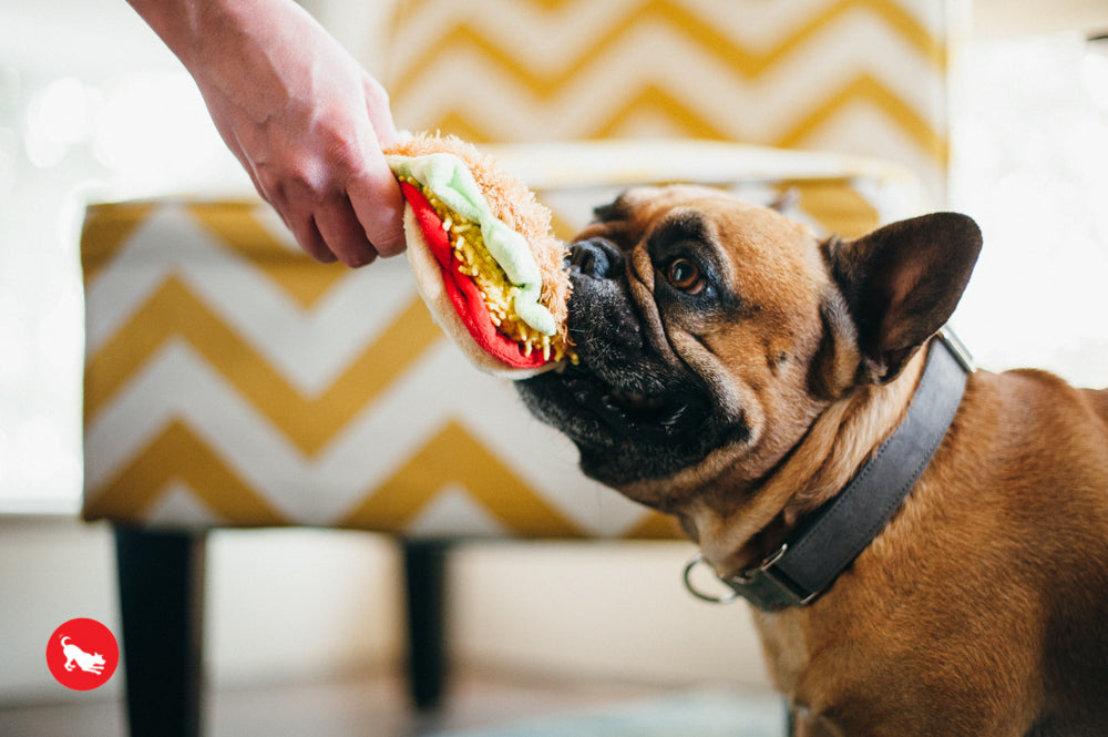 P.L.A.Y. The International Classic Squeaky Plush Dog Toy, Taco