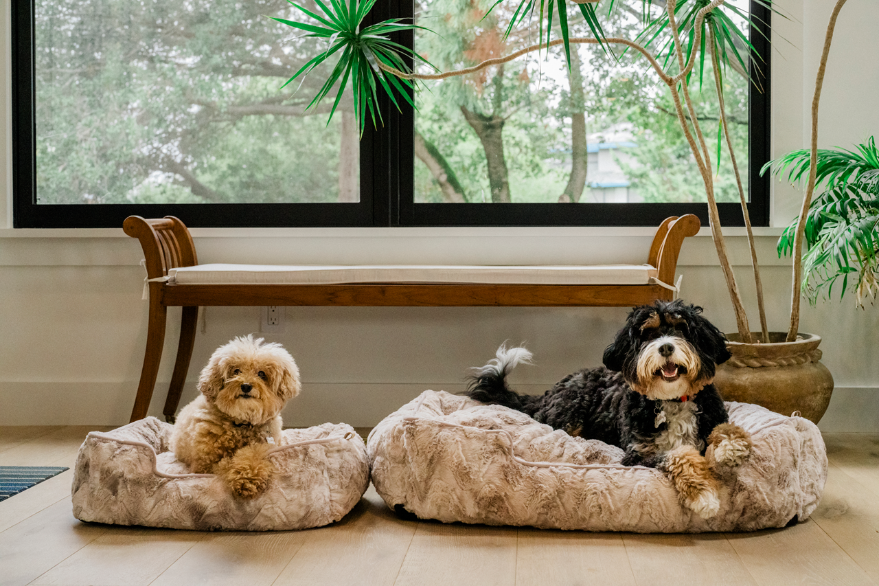 [Pre Order] Lounge Dog Bed: Dreamland Sandstorm