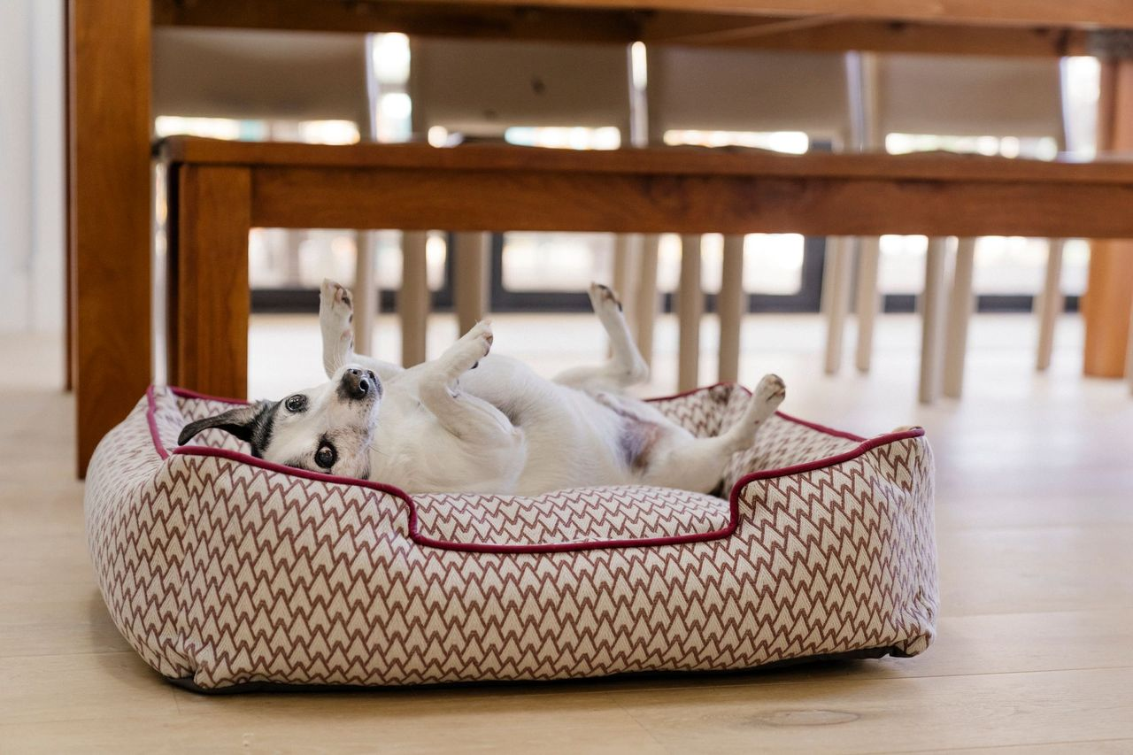 Lounge Dog Bed: Vineyard Cabernet Red