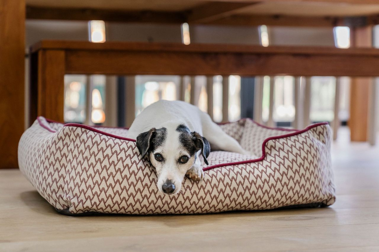 Lounge Dog Bed: Vineyard Cabernet Red