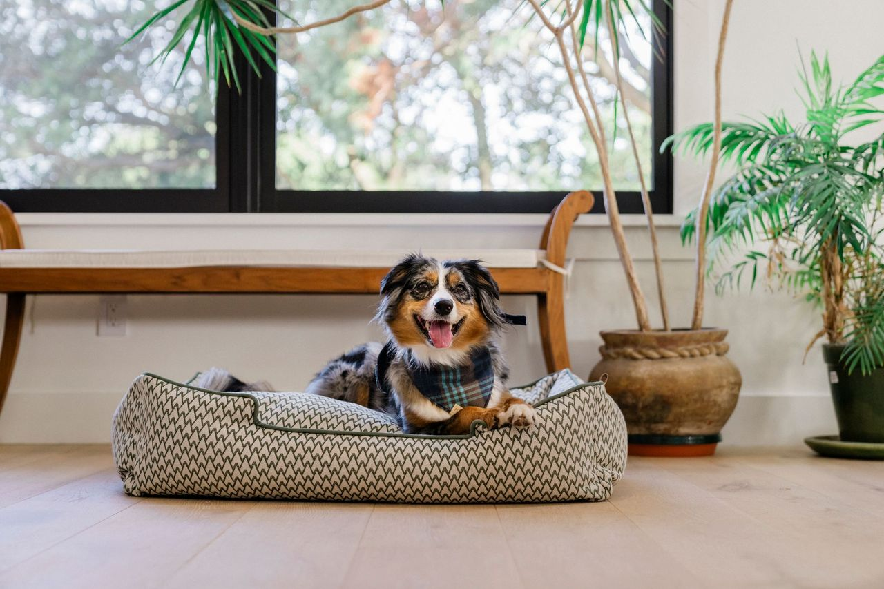 [Pre Order] Lounge Dog Bed: Vineyard Olive Green