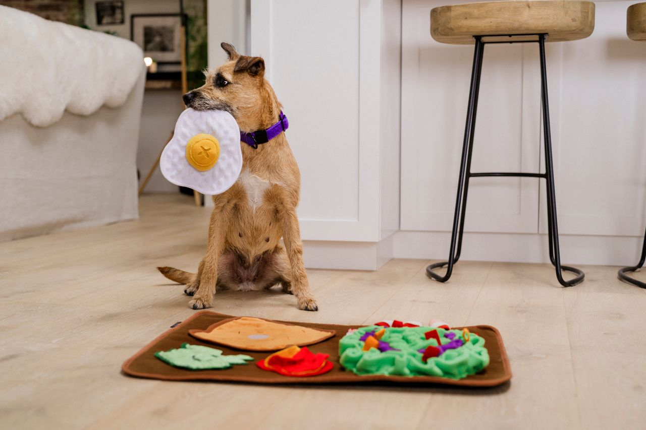 Snuffle Mat Toy for Dogs and Cats, Savory Sunrise