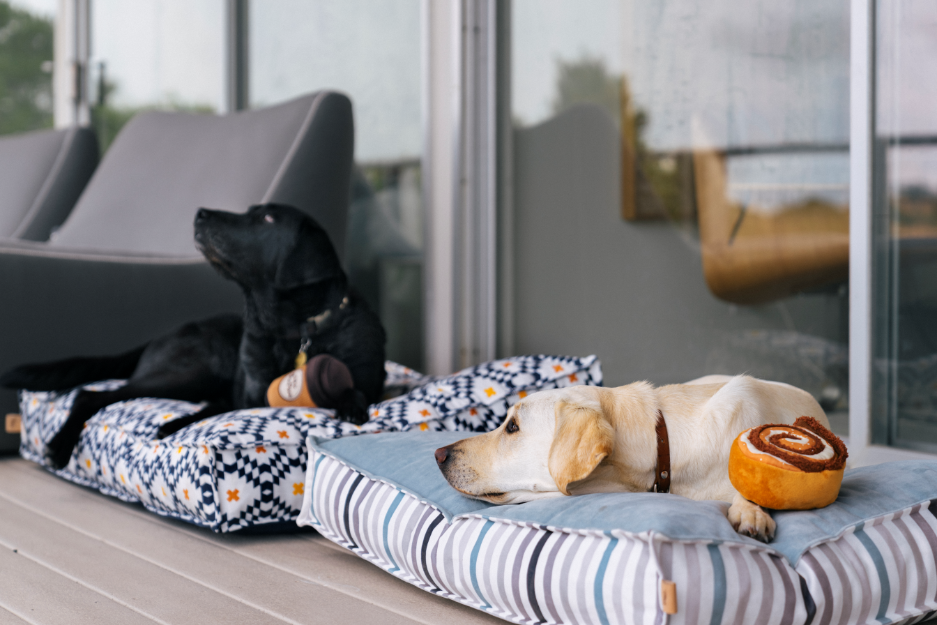 Standard Dog Bed: Marina Boxy Cobalt Blue