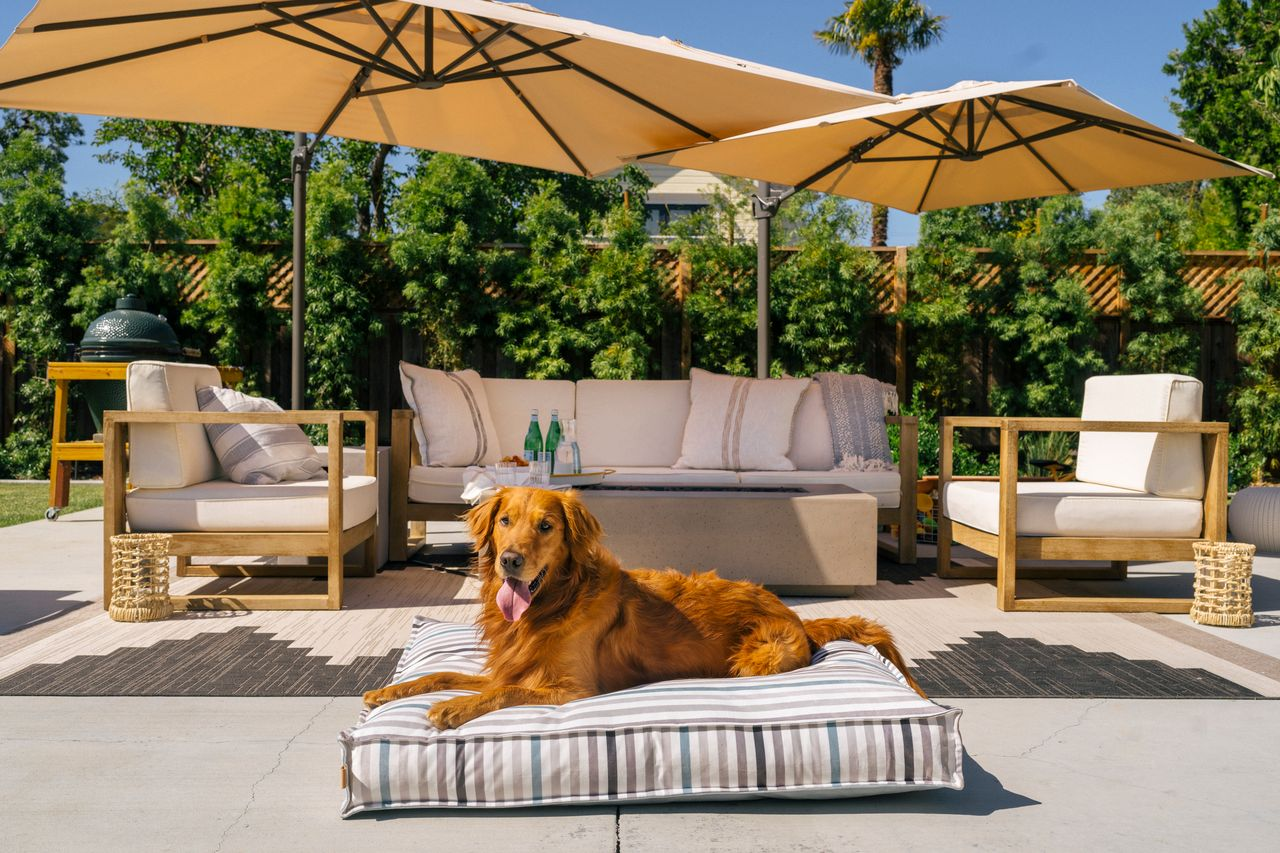 Standard Dog Bed: Seaside Boxy Sea Glass