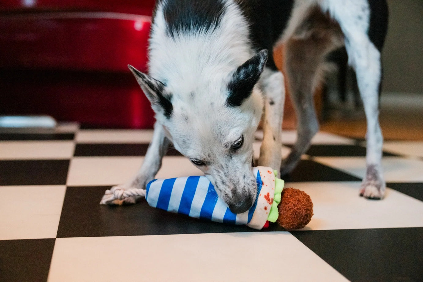 P.L.A.Y. The International Classic Squeaky Plush Dog Toy, Fur-lafel Wrap