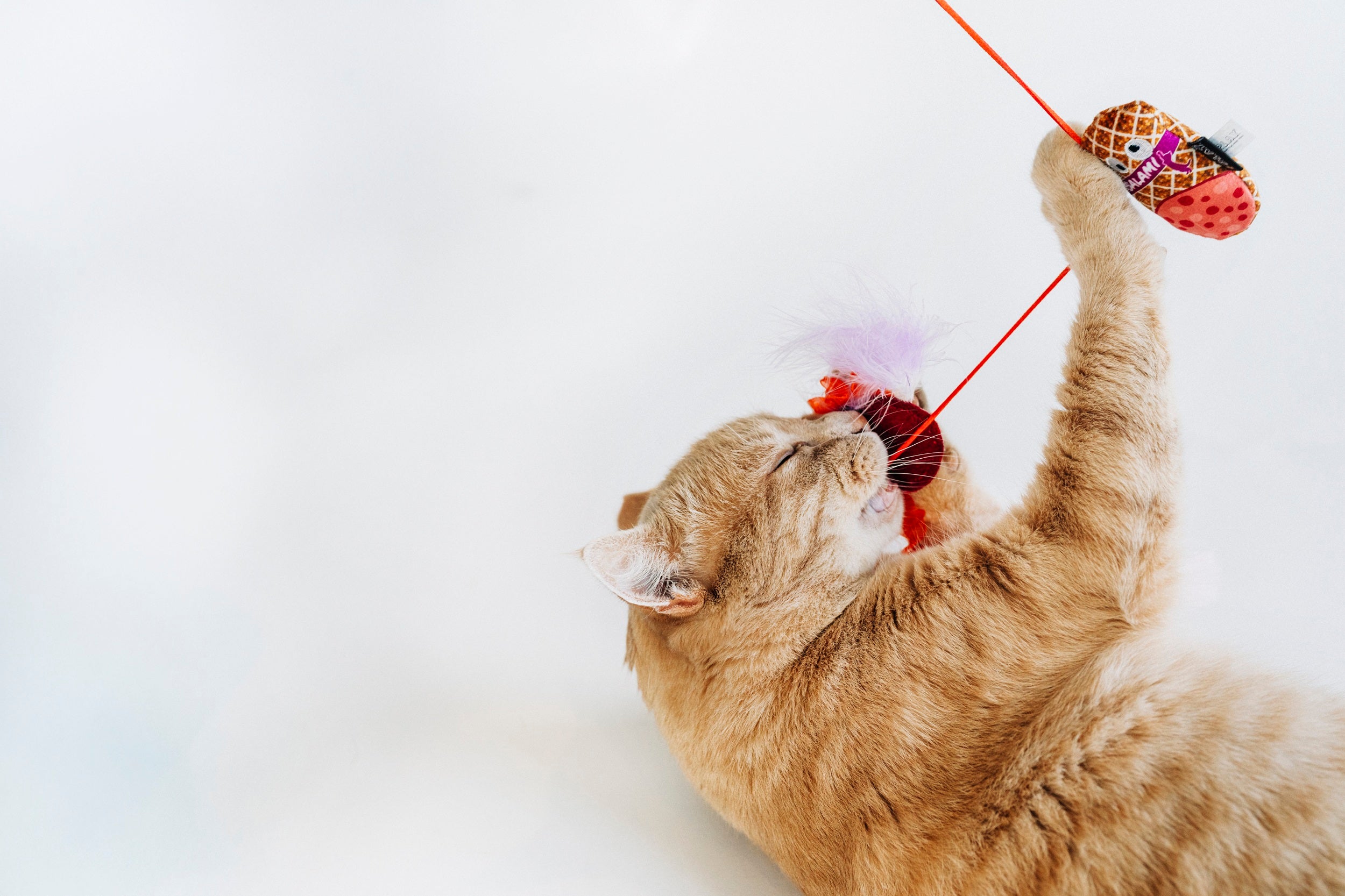 P.L.A.Y. Feline Frenzy, Wand Cat Toy: Swatlami