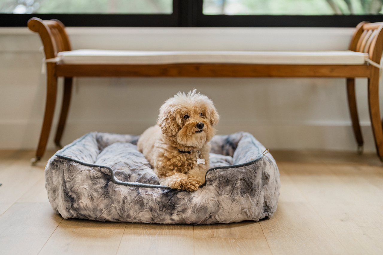 [Pre Order] Lounge Dog Bed: Dreamland Frost Grey