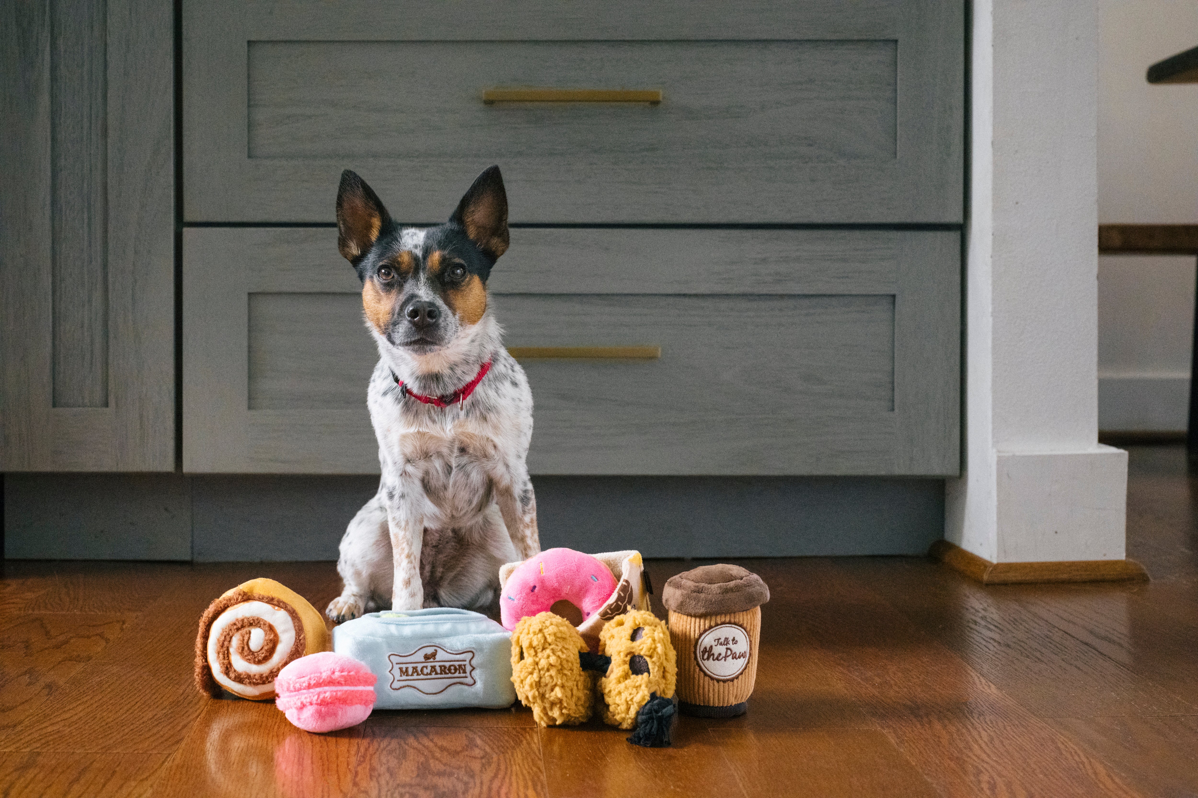 [Pre-Order] P.L.A.Y. Pup Cup Cafe Squeaky Plush Dog toys, Cinna-bone (mini sized)