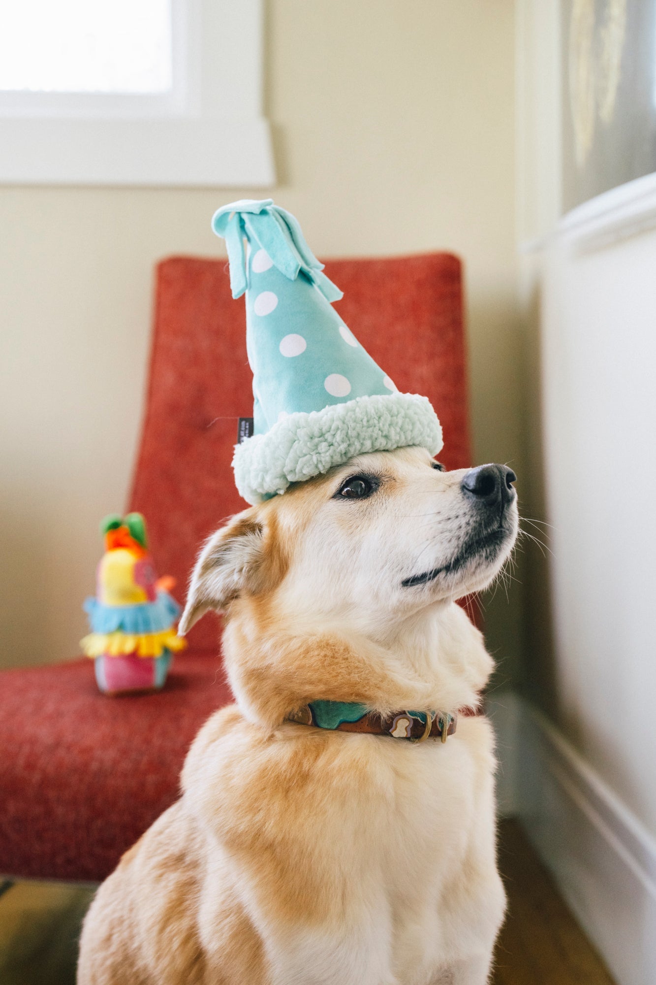 P.L.A.Y. Party Animal Yappy Party Hat Plush Interactive Squeaky Dog Toy