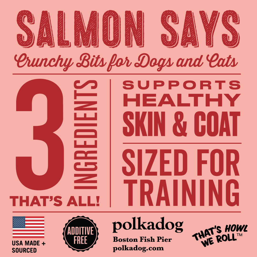 Polkadog Dog and Cat Treats, Salmon Says Mini Tube 2oz