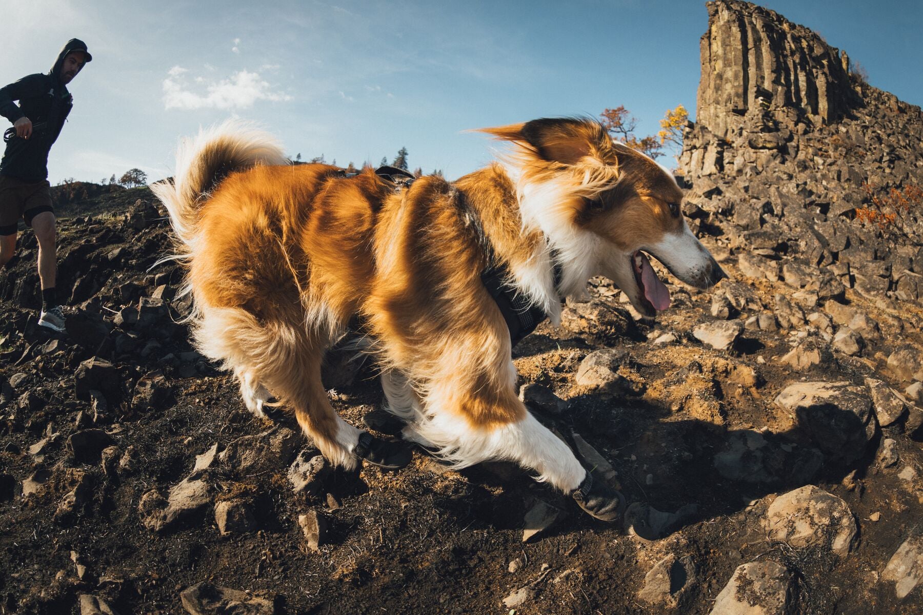 Ruffwear Dog boots: Ridegline PAIR