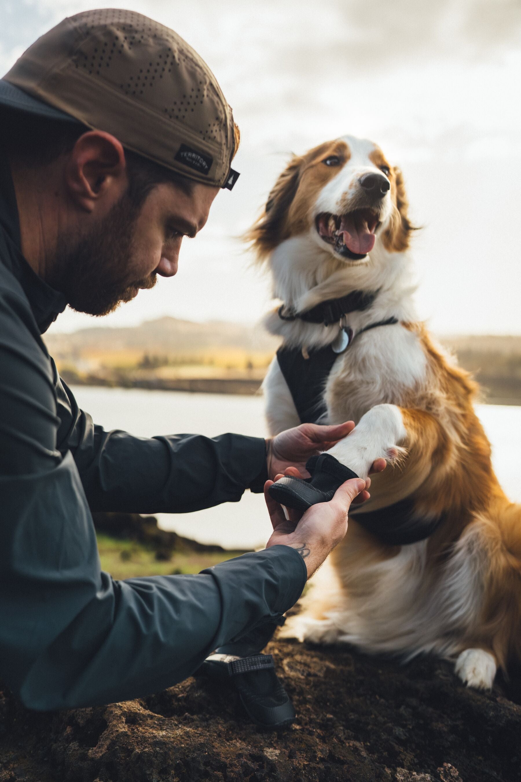 Ruffwear Dog boots: Ridegline PAIR