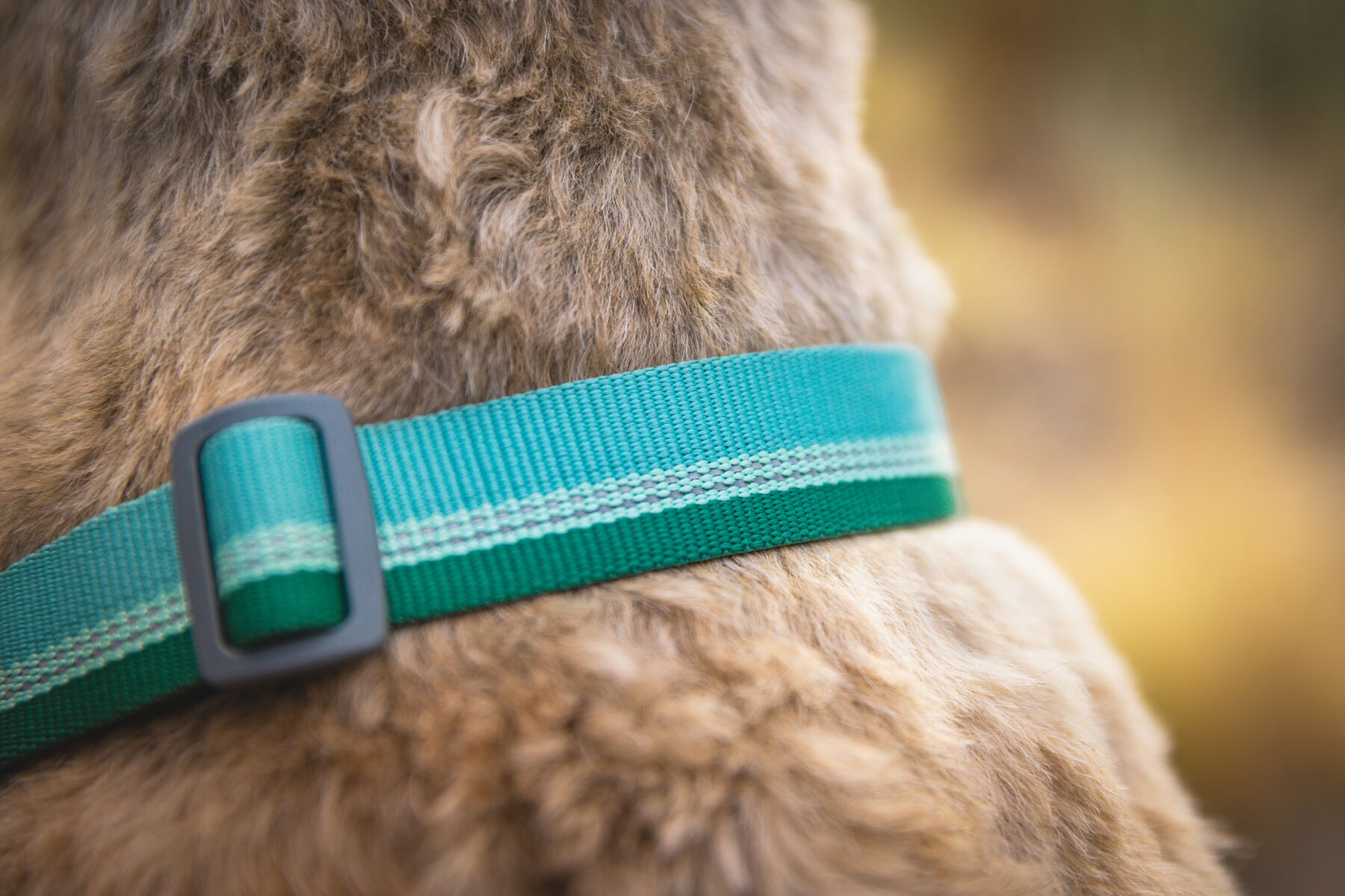 Ruffwear Dog Collar: Chain Reaction New Colours