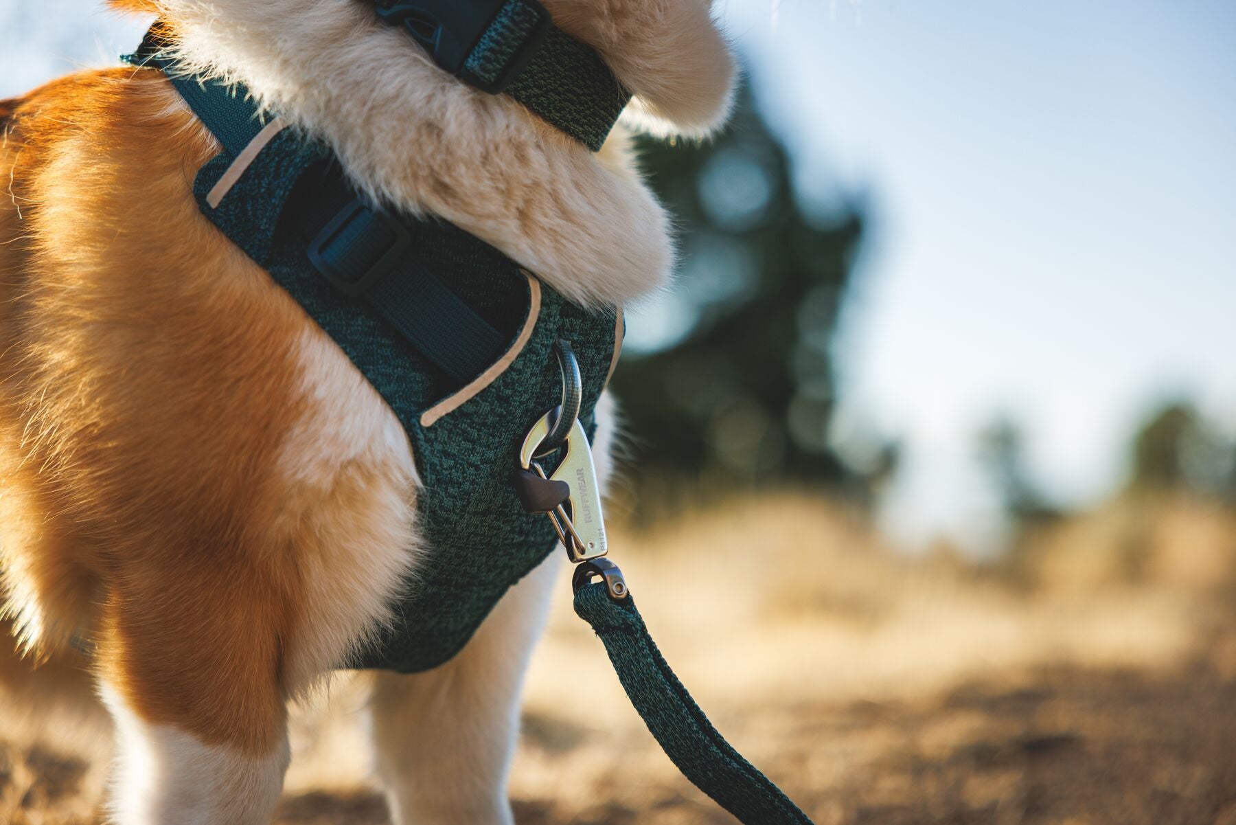 Ruffwear Front Range Flex Collar | Soft Athletic Knit Dog Collar