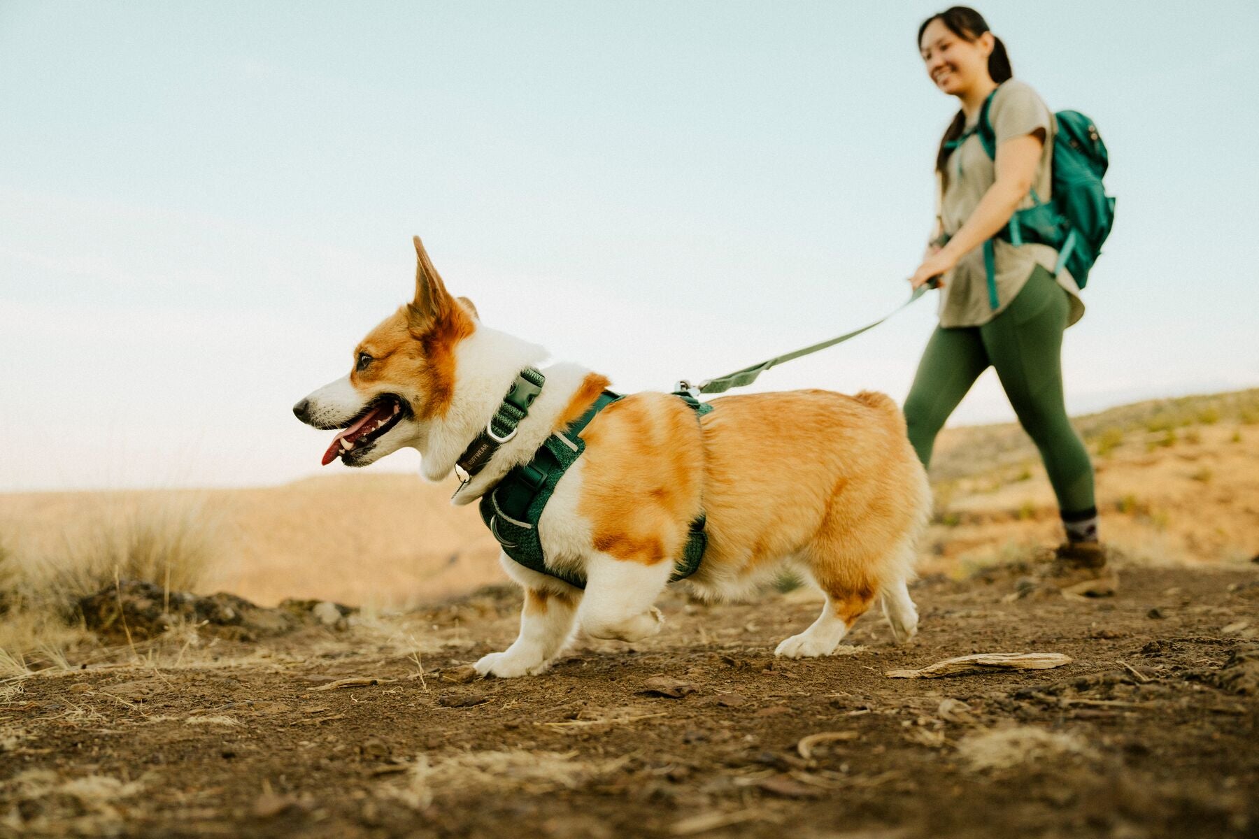 Ruffwear Front Range Flex Collar | Soft Athletic Knit Dog Collar