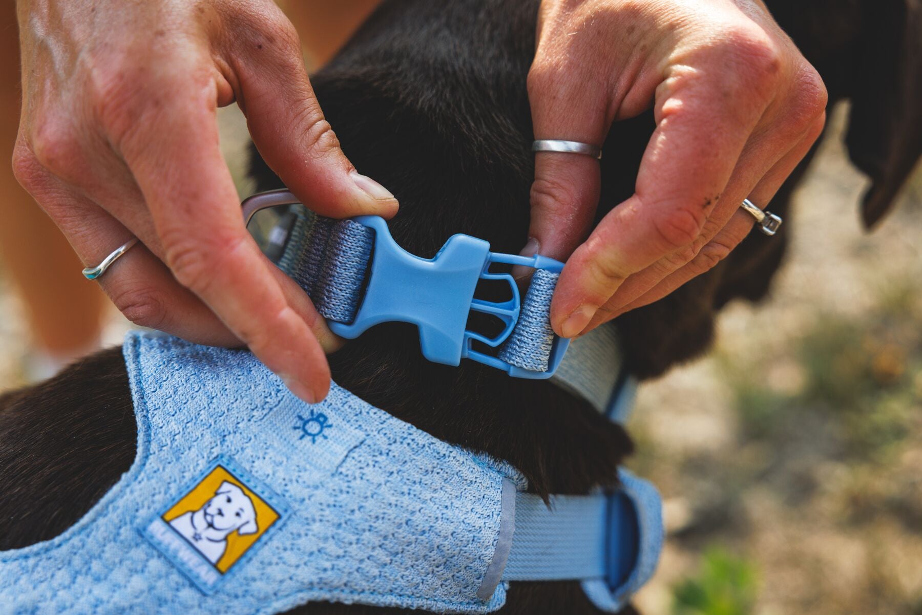 Ruffwear Front Range Flex Collar | Soft Athletic Knit Dog Collar