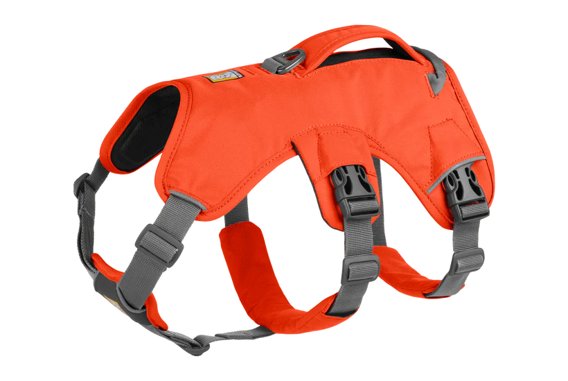 Ruffwear Dog Harness, Web Master (New Colours)